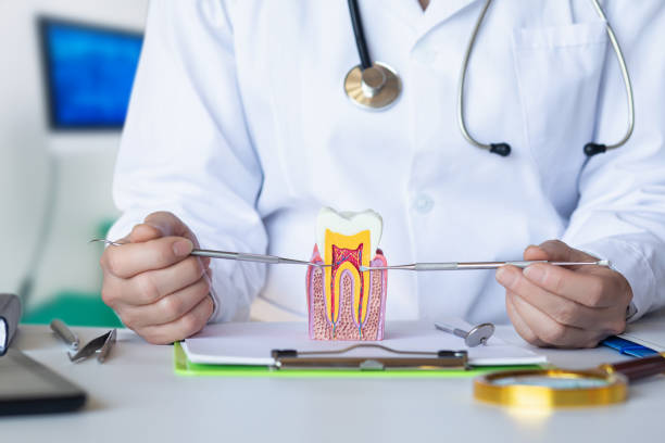 Best Urgent Dental Care for Toothaches in Pimmit Hills, VA